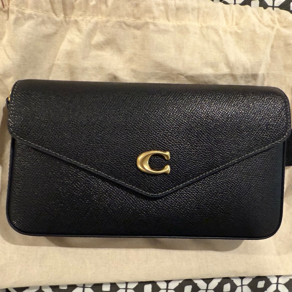 Coach Wyn Crossbody Bag with Gold Accent